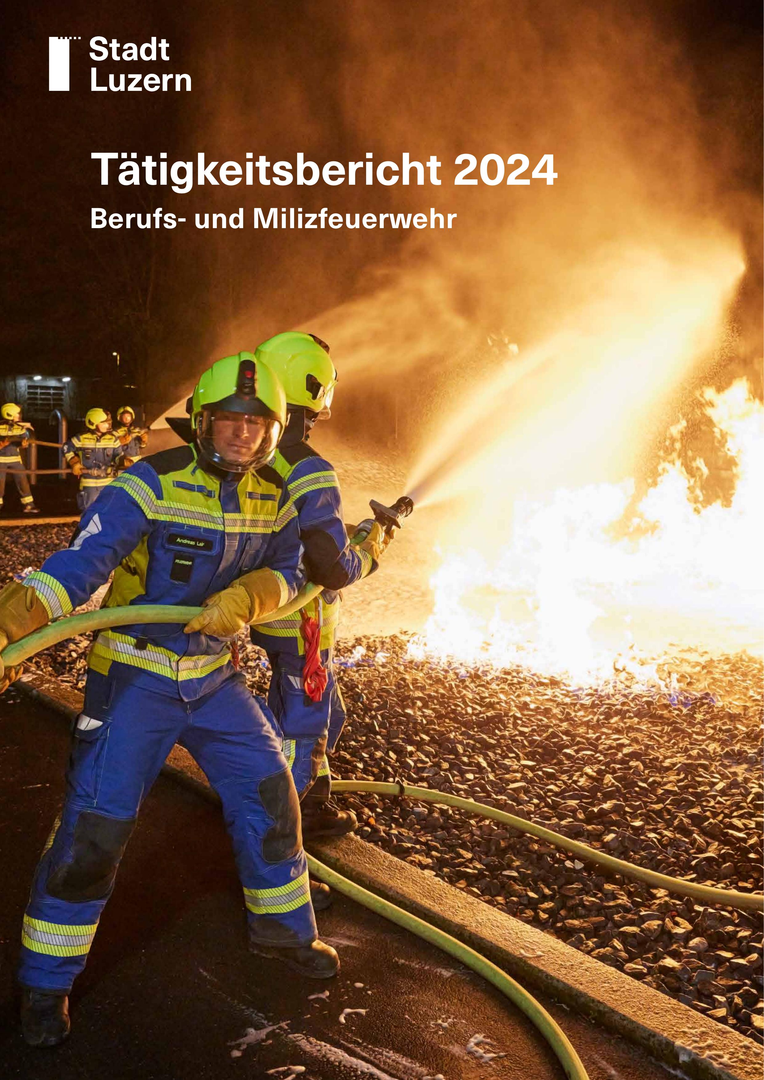 Tätigkeitsbericht 2024